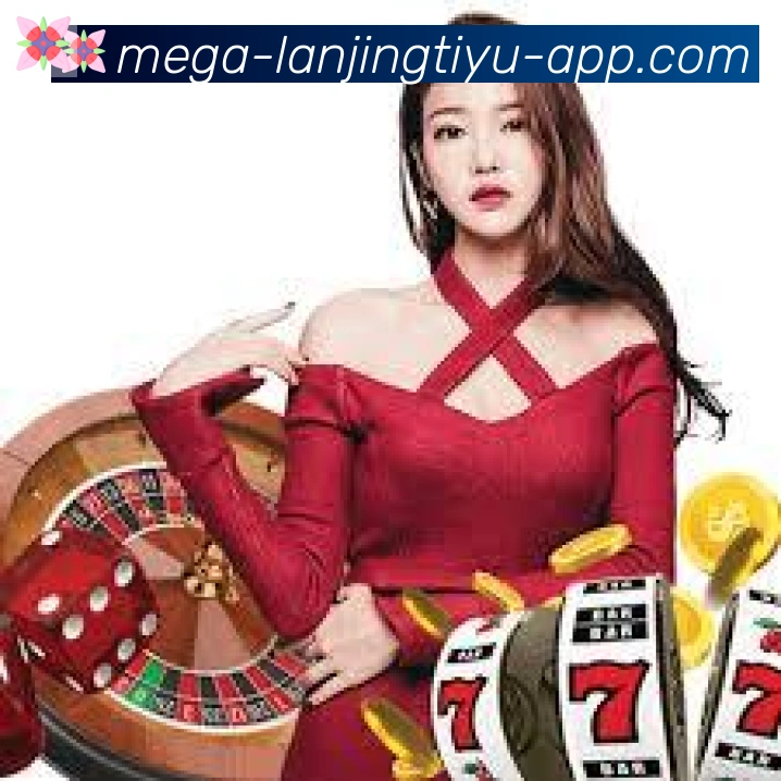 未来规划